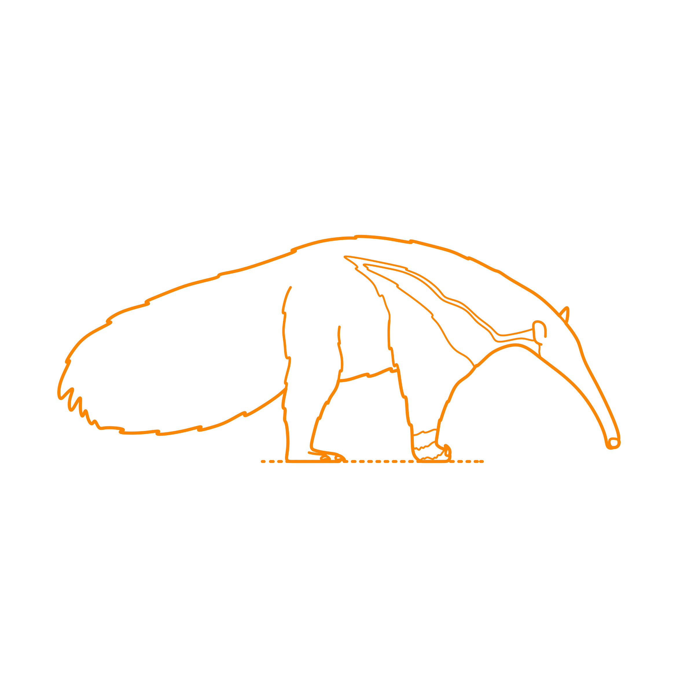 Animals Anteaters Contour Svg Vector Free Vectors